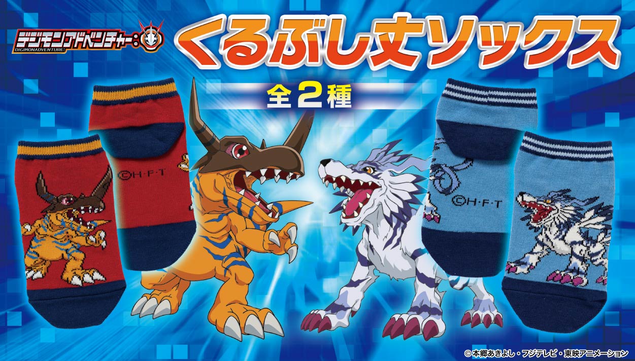 「デジモンアドベンチャー：」のくるぶし丈ソックスが新登場！
